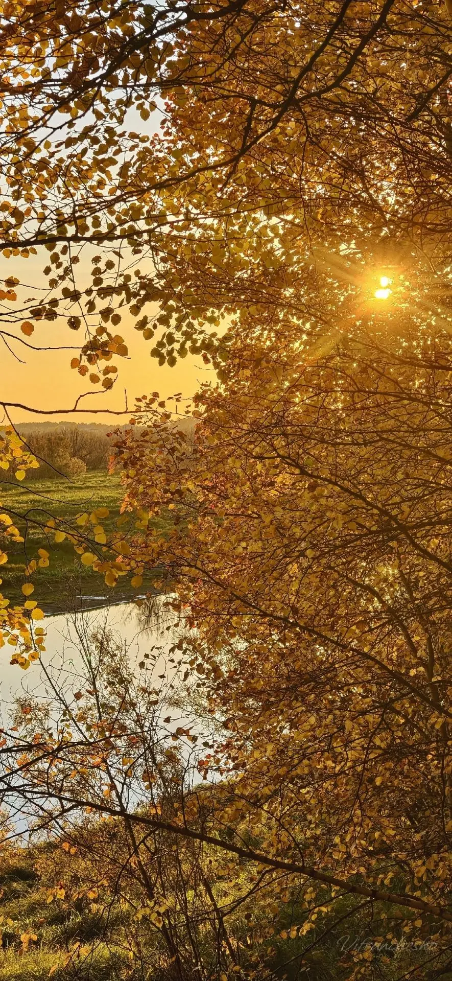 СТРЕЖЕВСКИЕ ЗАРИСОВКИ 📸👍