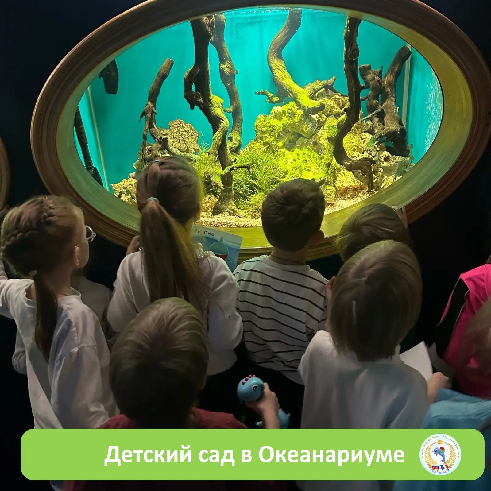 🐠ВОСПИТАННИКИ ДЕТСКОГО САДА "КАЛИПСО" ПОСЕТИЛИ ОКЕАНАРИУМ🐟   💙Воспитатель Дмитриева Марина Александр