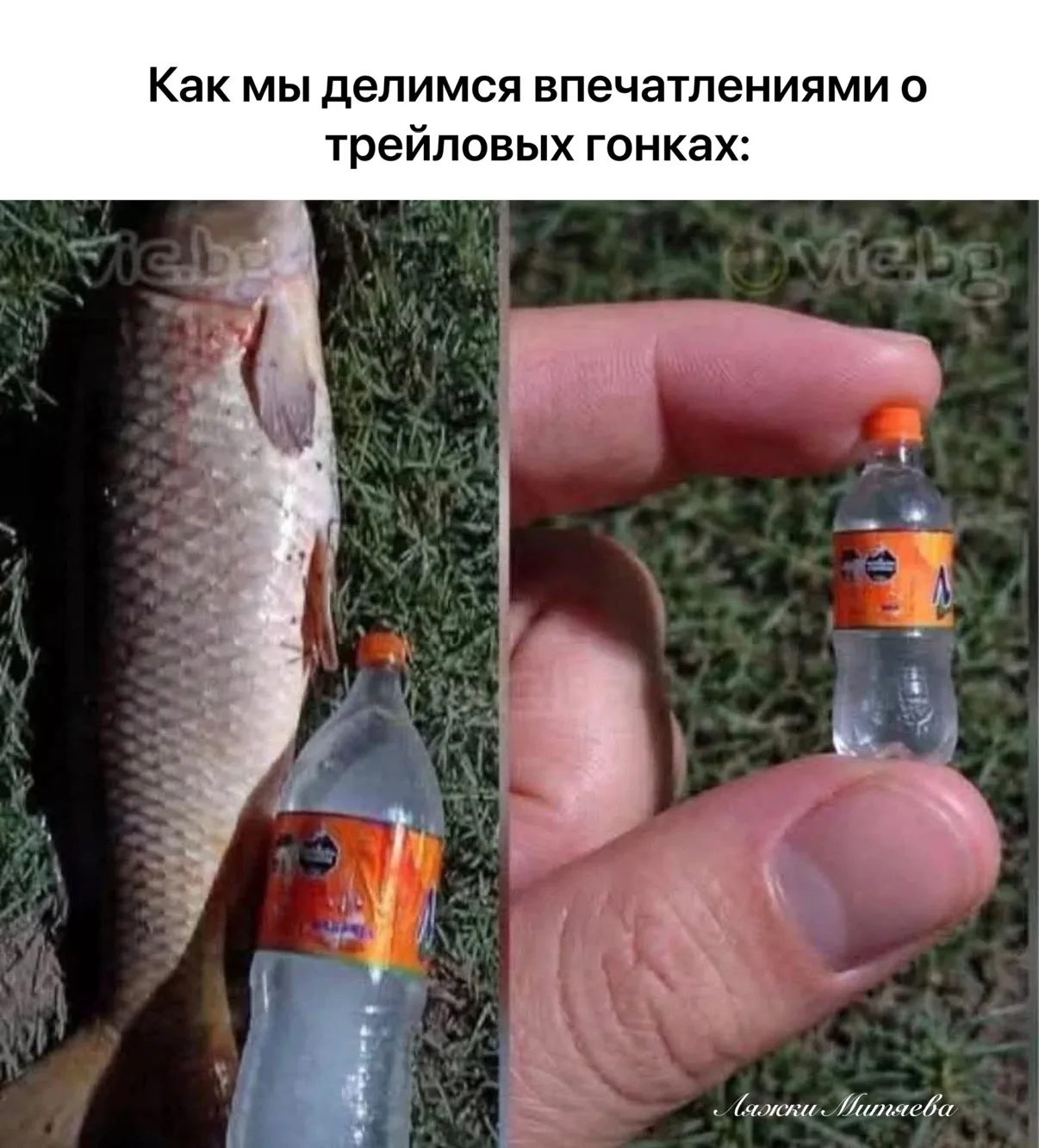 Закон природы.
