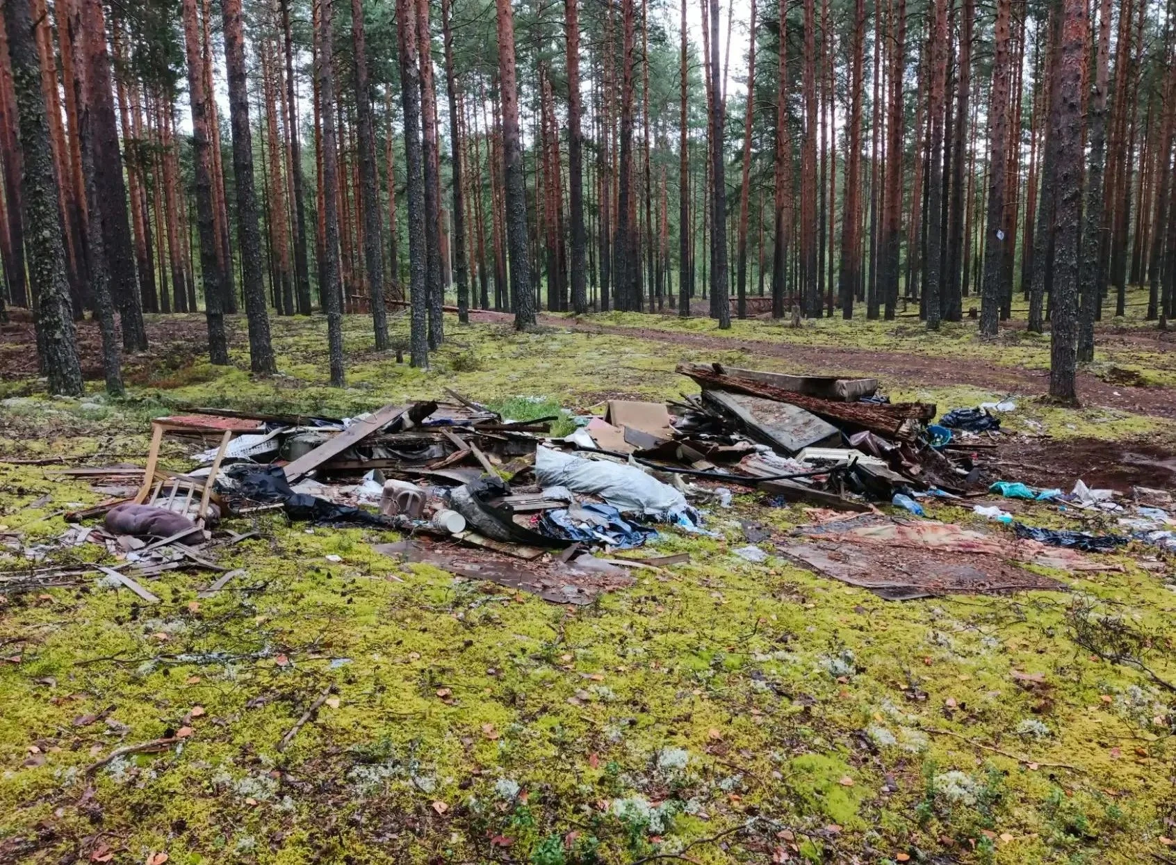 ♻️В 2026 году в Кировской области ликвидировано 25 лесных свалок, объём вывезенного мус...