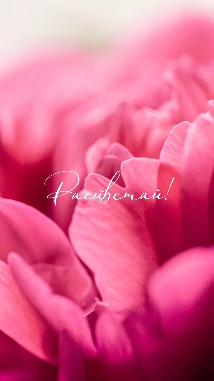 🌺🌺💞🌺♥❤