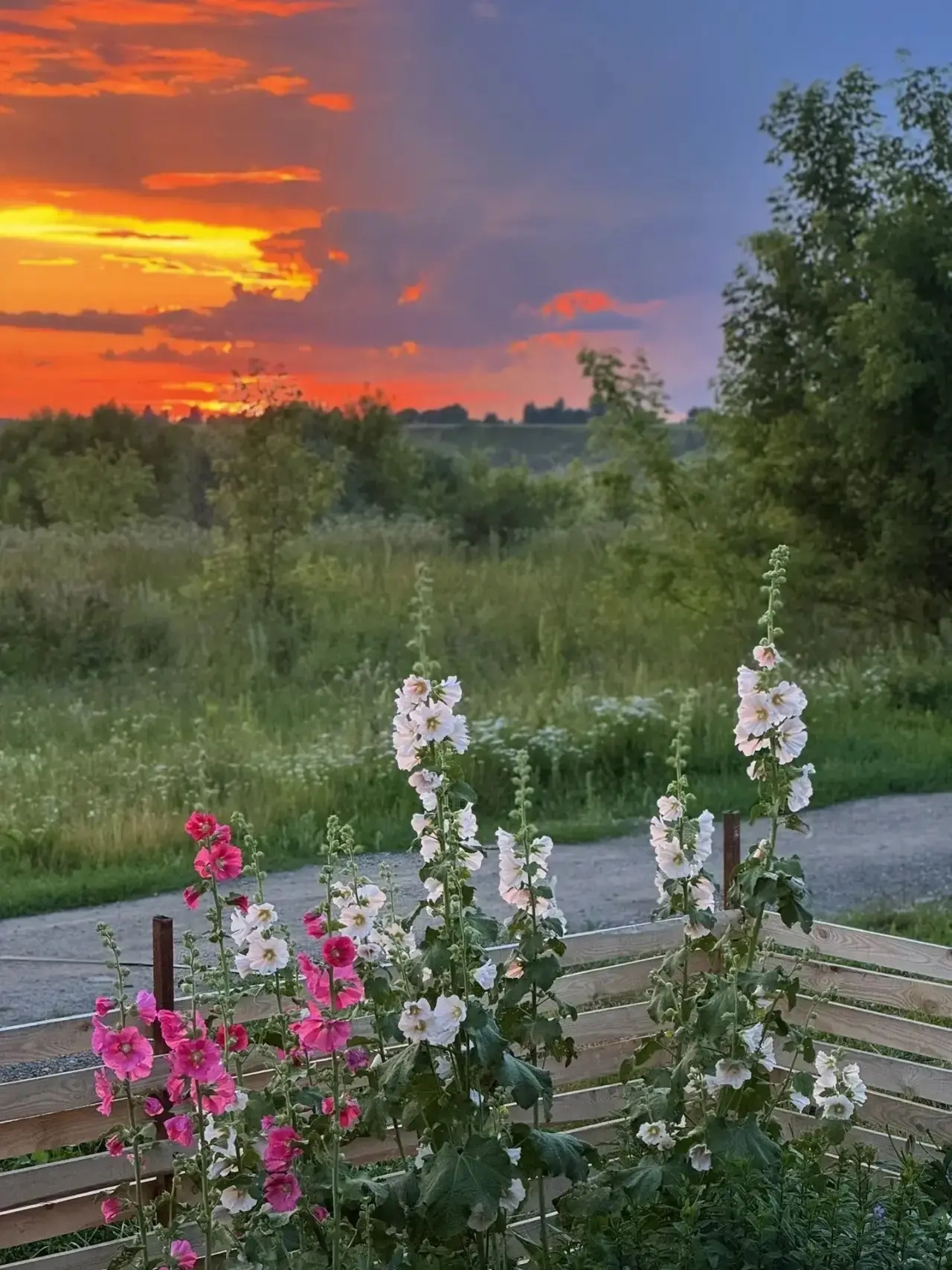 Нижегородская область 😍