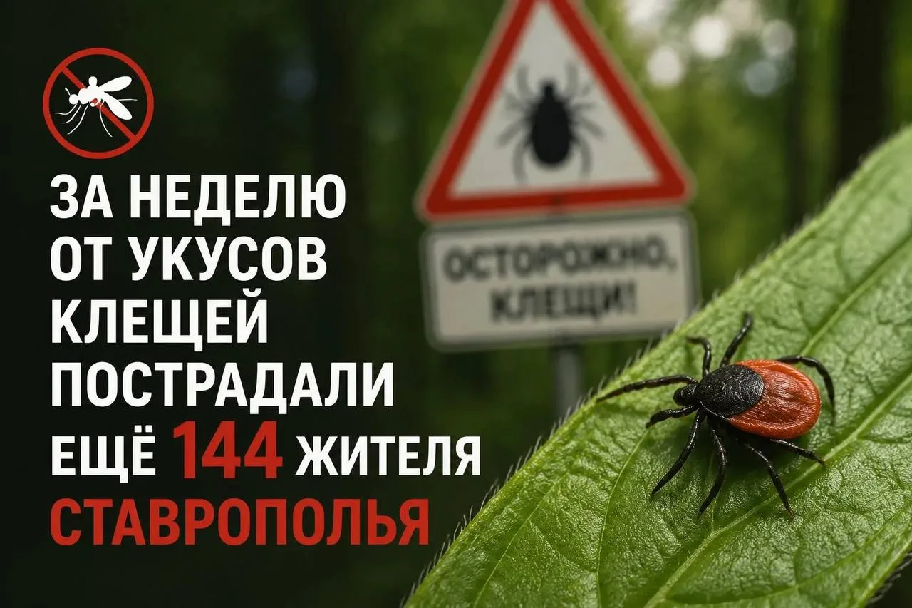 ❗️За неделю от укусов клещей пострадали ещё 144 жителя Ставрополья

По данным Роспотребнадзора по Ст