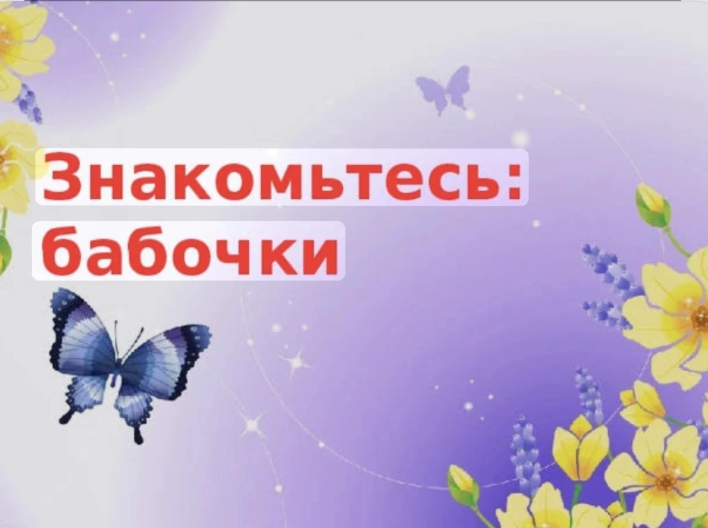 Сегодня, 19 июня в День бабочки, в 6 группе завершился краткосрочный проект,,Знакомьтесь, бабочки!".