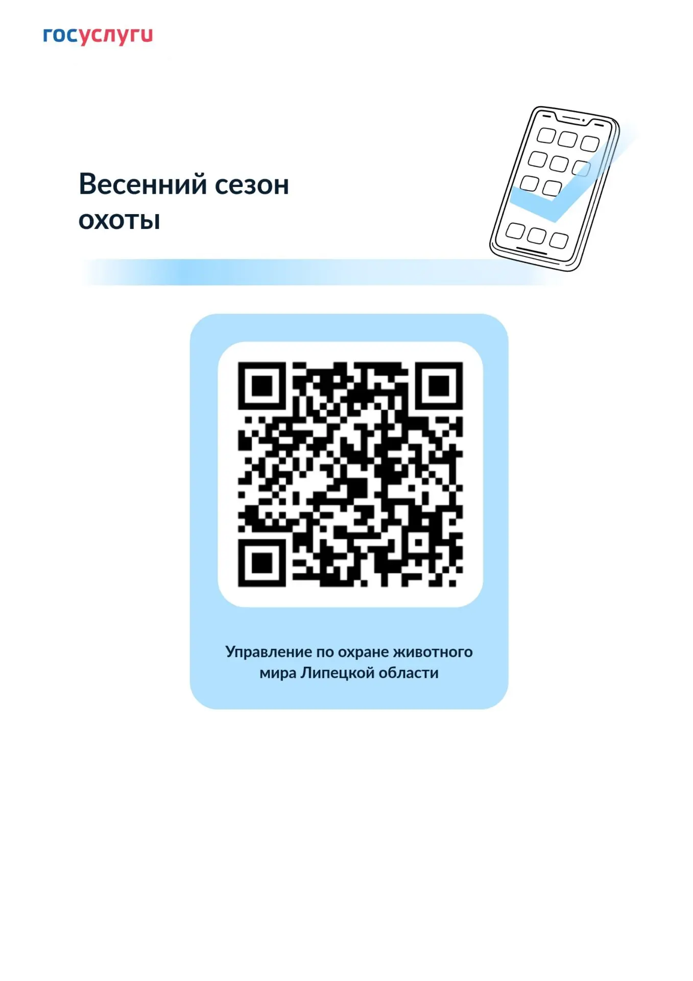 Дорогие друзья!