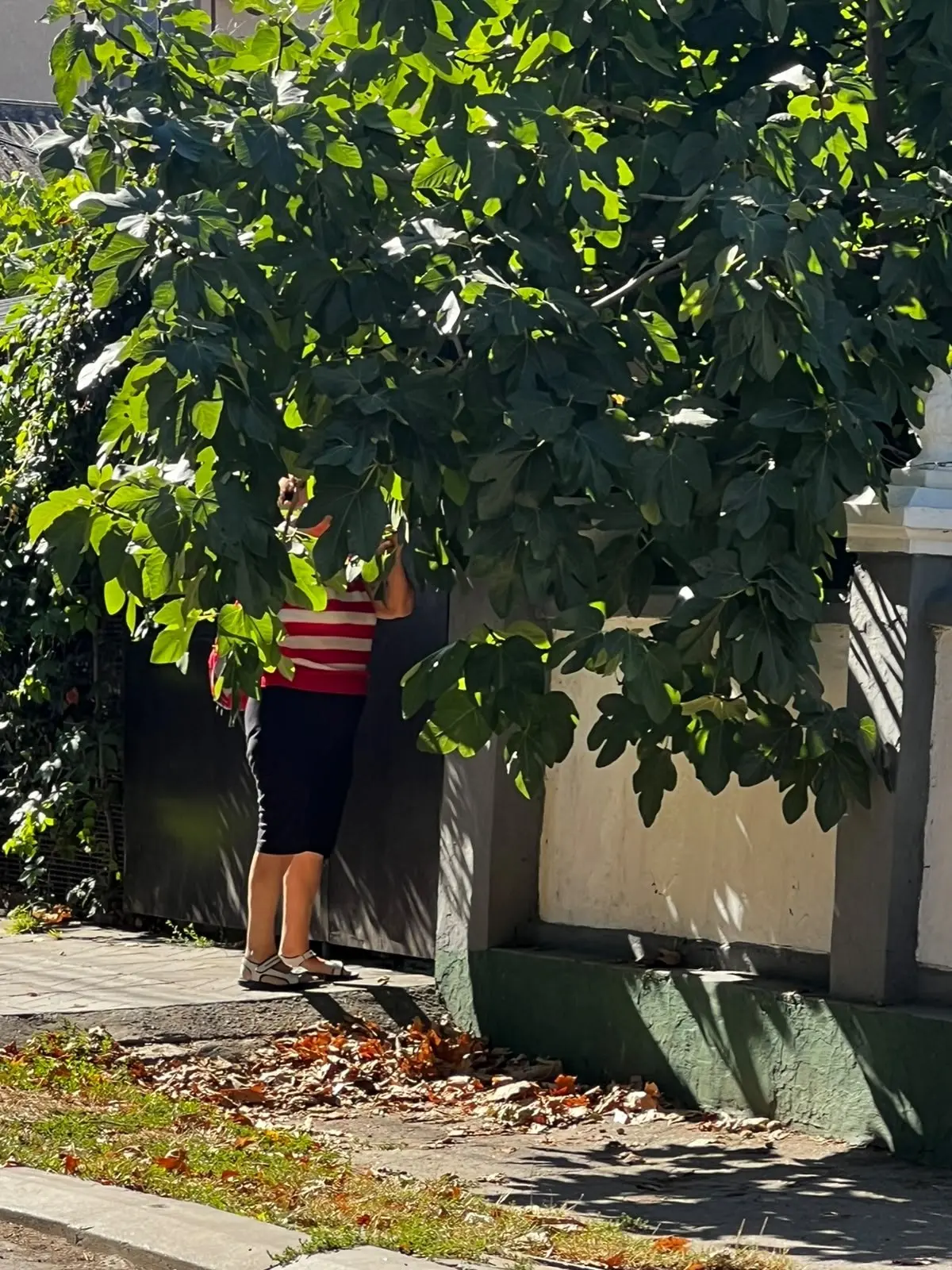 Приезжаешь в Анапу — и всё, твоя карма официально аннулирована. По дороге на пляж ты вн...