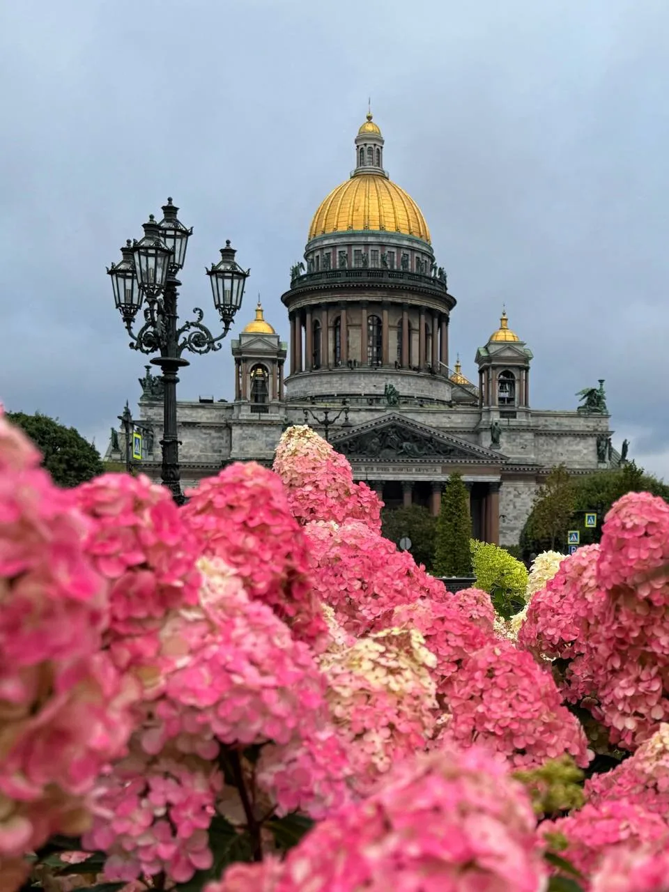 Изображение 1 к публикации «Питер главное»
