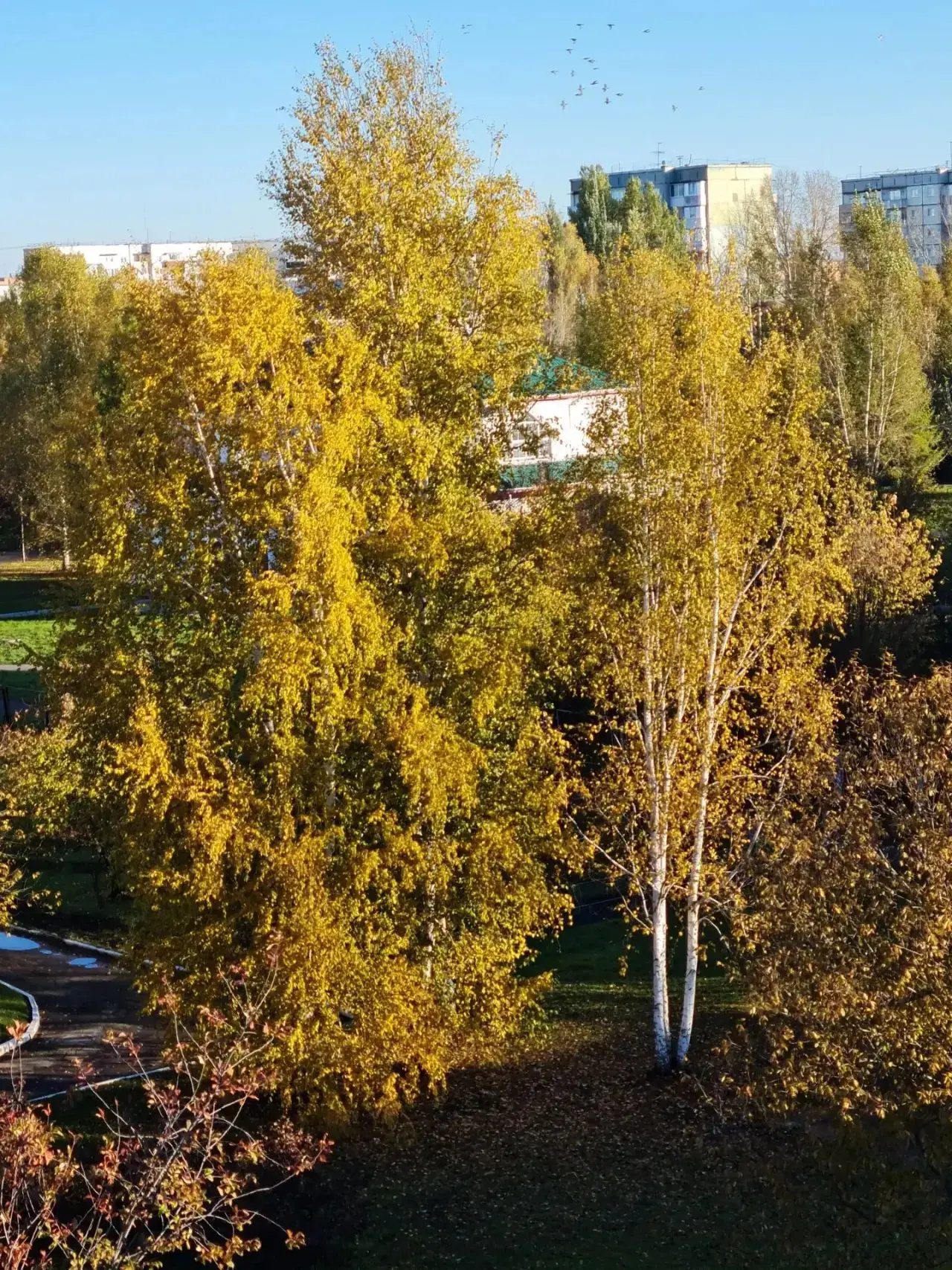 Доброе воскресное утро! 🍂