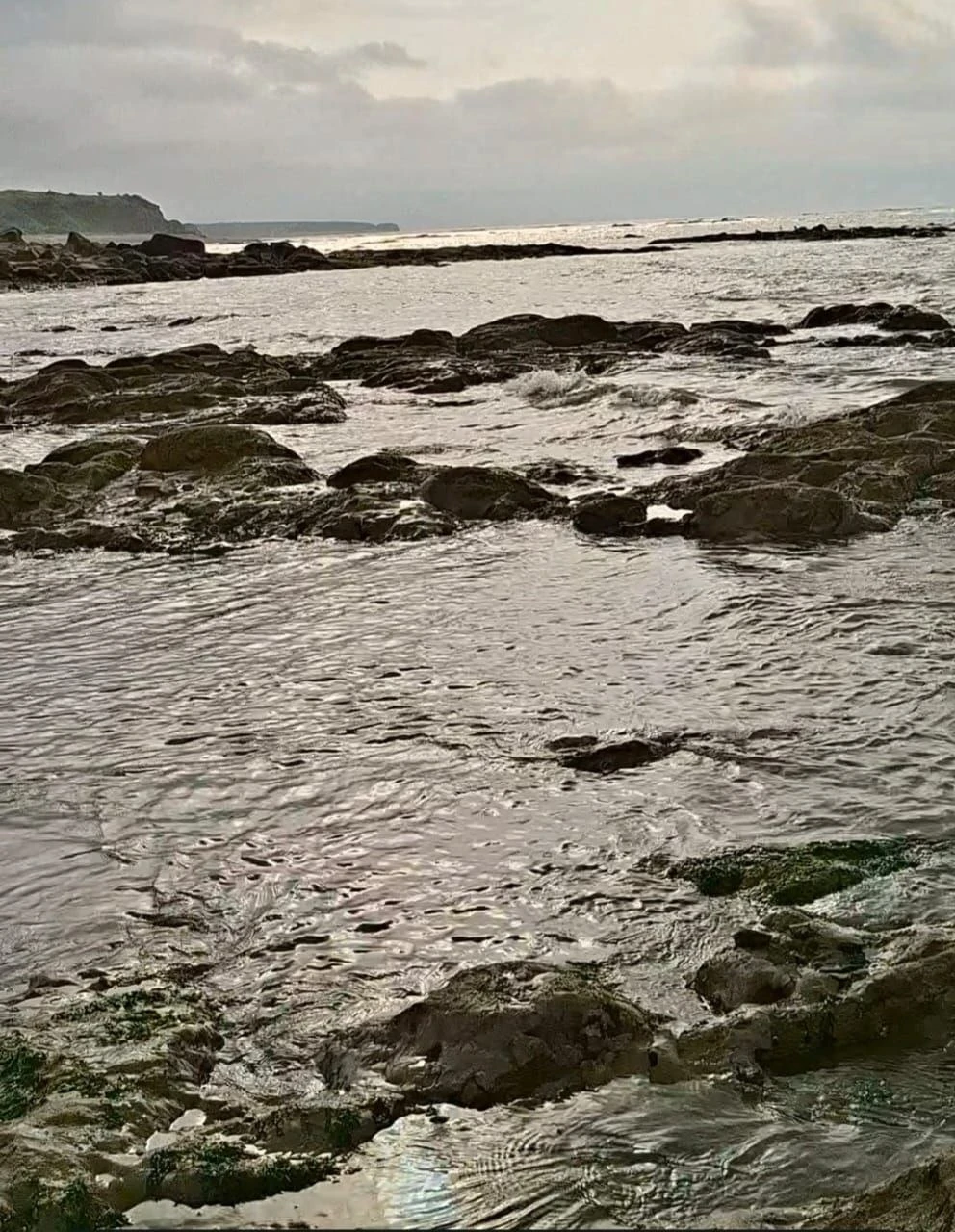 🌦️ Сегодня в Хабаровске с утра +11, днём до +15, небольшой дождь.