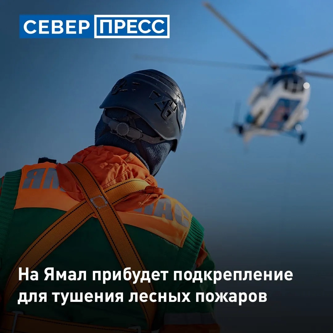 98 спасателей из Иркутска приедут на Ямал для тушения лесных пожаров. Ранее, 23 августа...