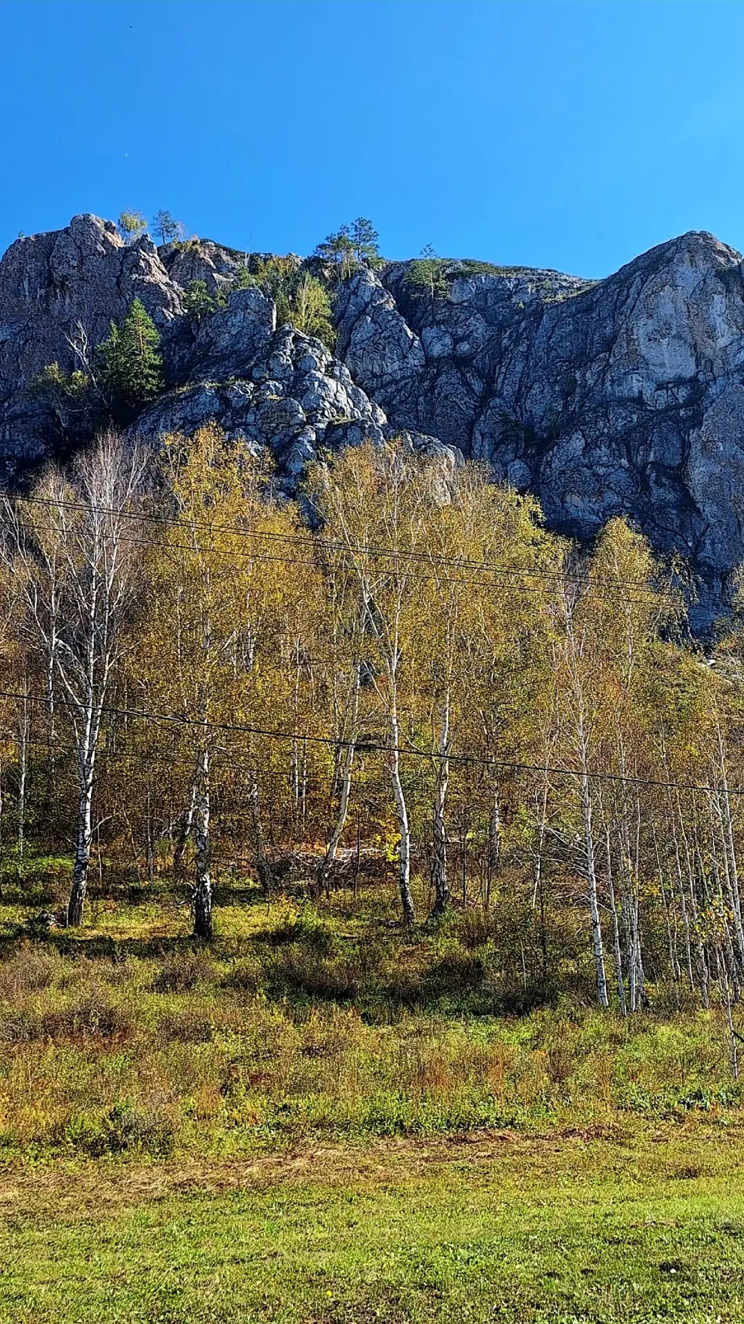 Всем доброго осеннего дня🍁🌞🍁