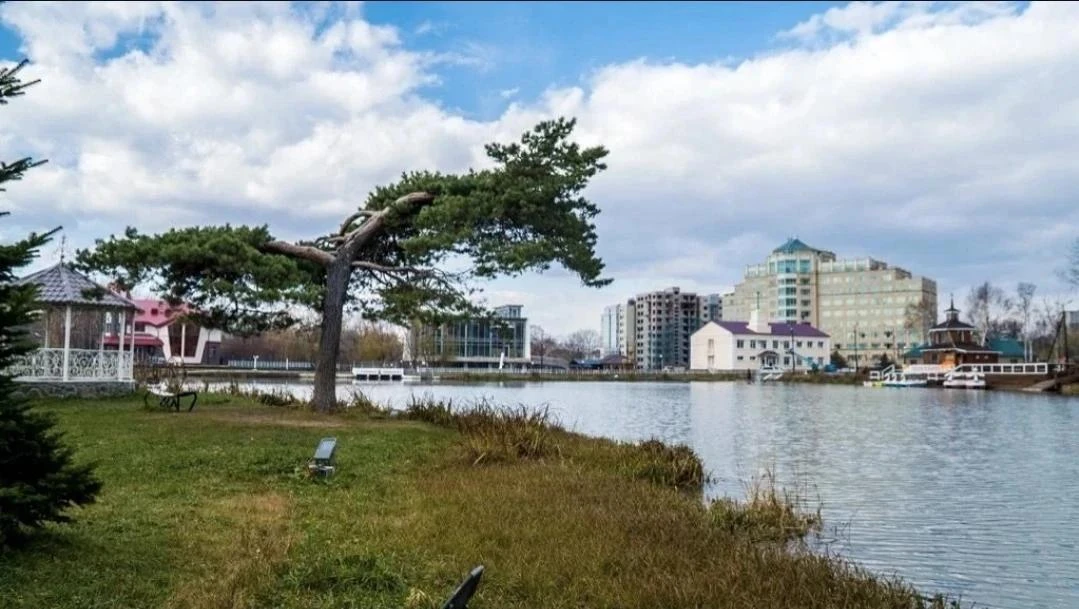 🌳 Сахалинская сосна борется за звание главного дерева России