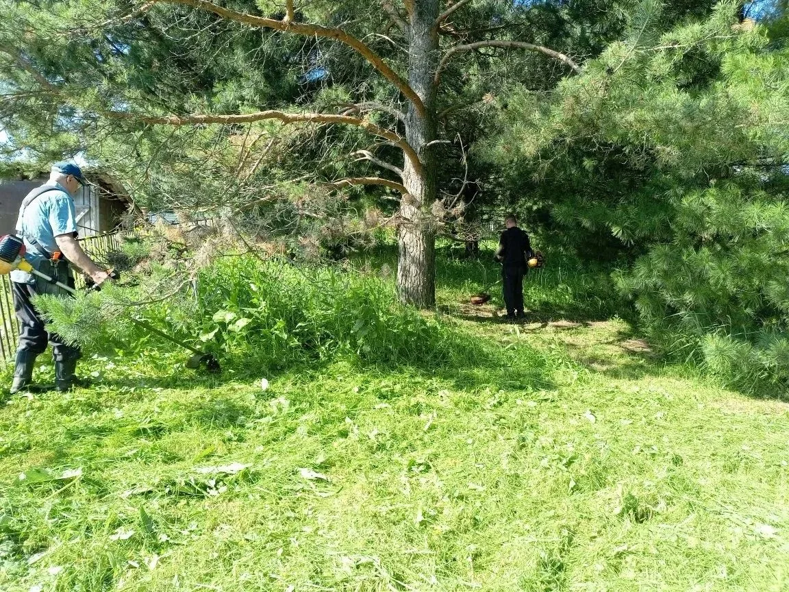 Сегодня рабочие Проскоковского территориального управления привели в порядок территорию памятника, у