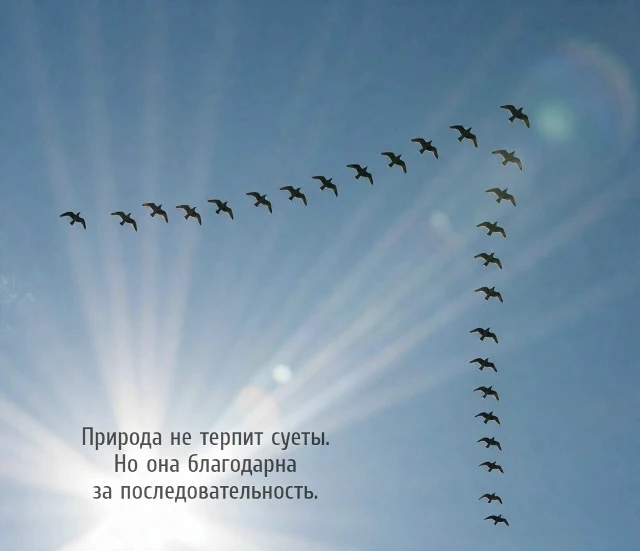 #Чистыйвоздух