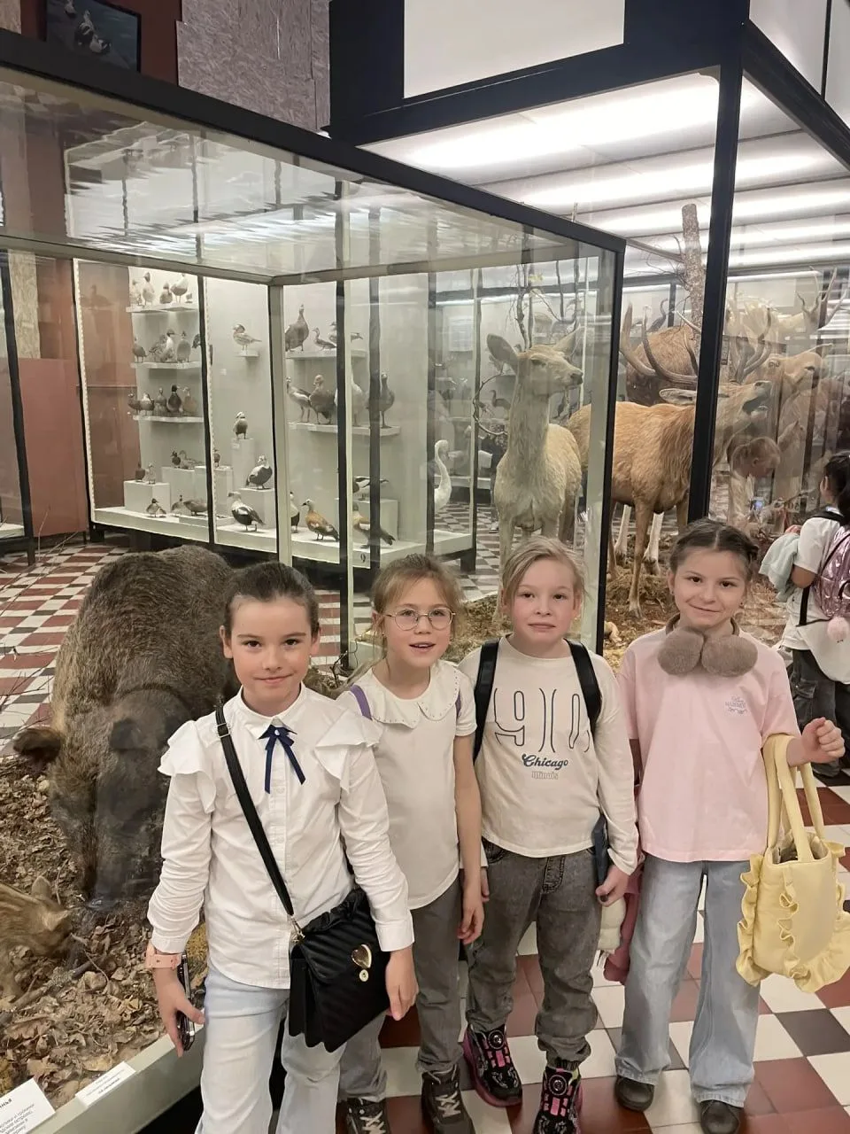 🏛 Учимся вне класса: музеи Москвы  🦉Ученики 2-Е класса посетили Зоологический музей Московского госу