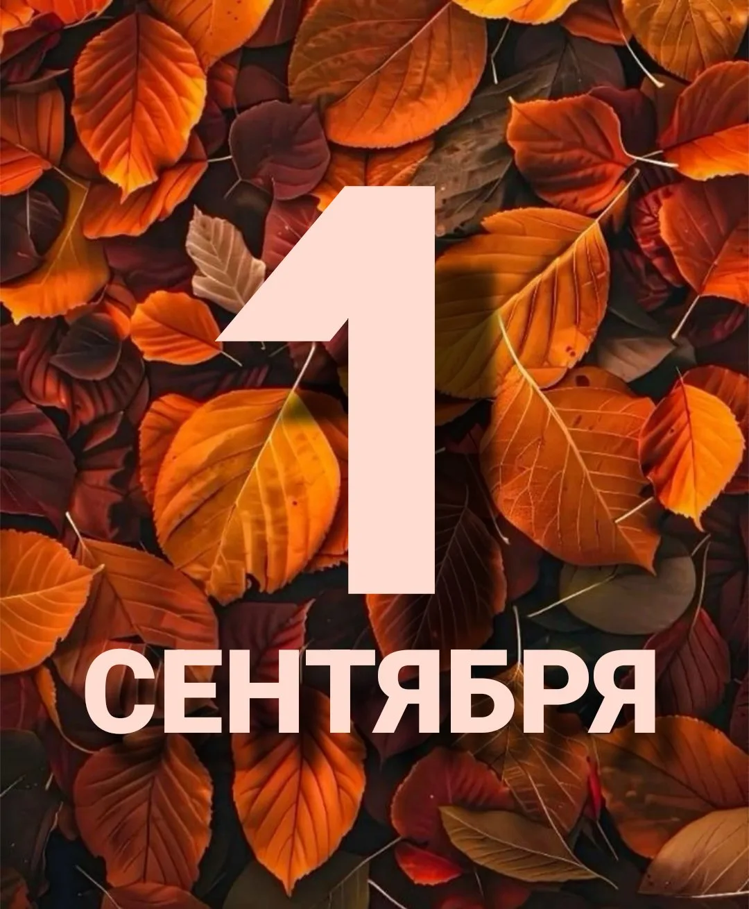 Долгожданная информация по 1 сентября 🍁🔔