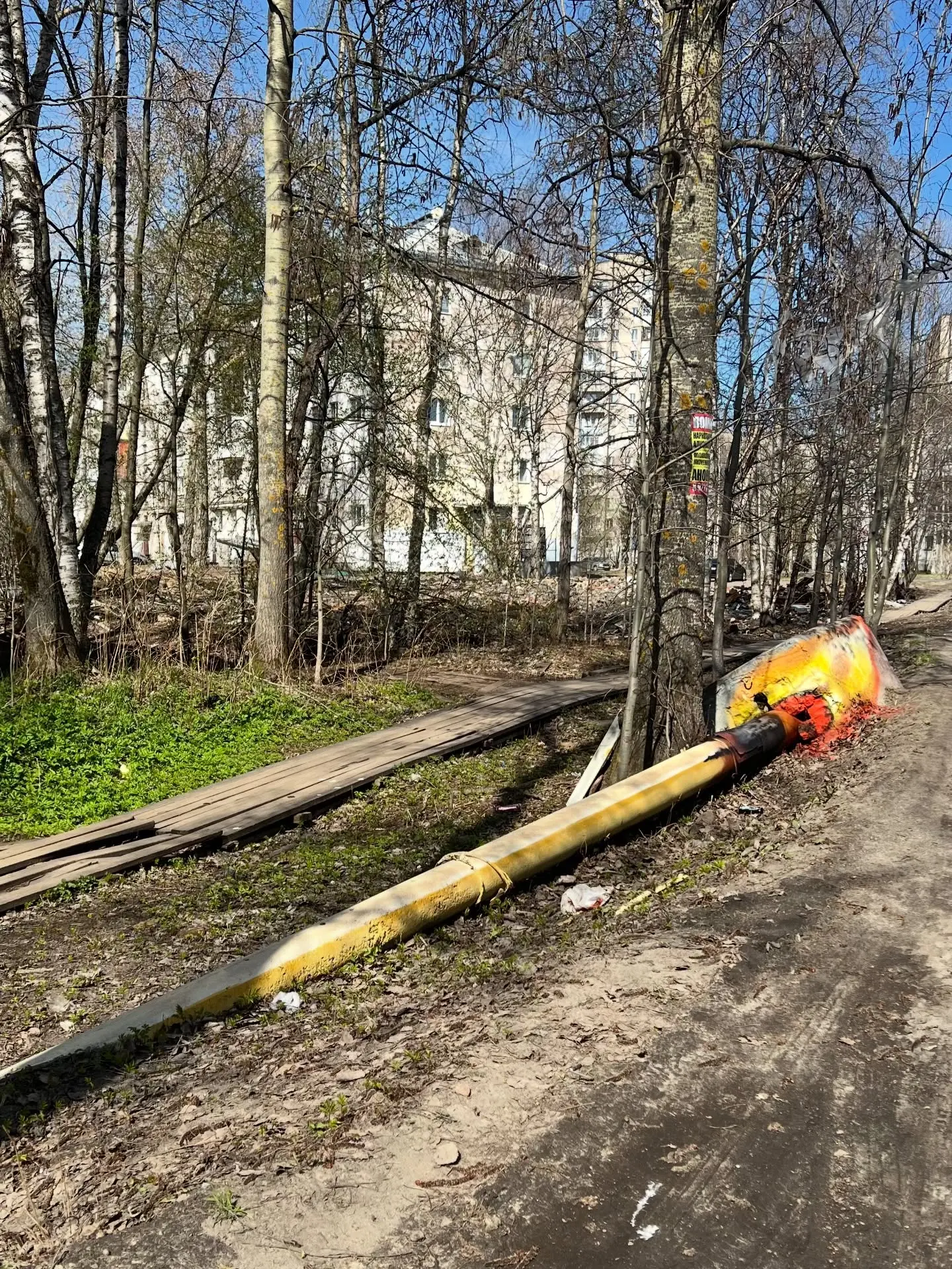 У нас есть свой Бэнкси, между прочим!  Уличный художник Артем Хазанов из Архангельска создает классн
