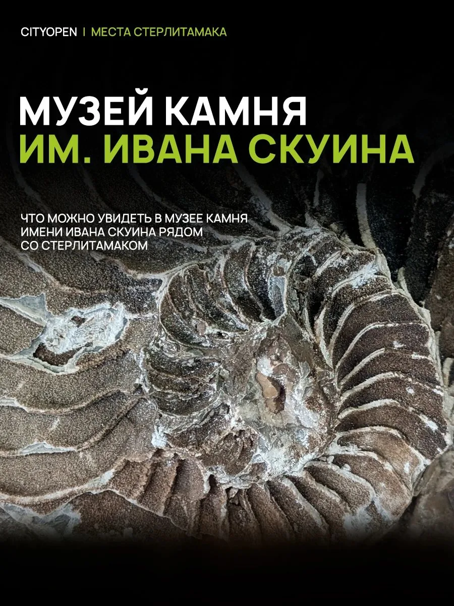 Рифу — 300 миллионов лет, а увидеть его обитателей можно совсем рядом со Стерлитамаком