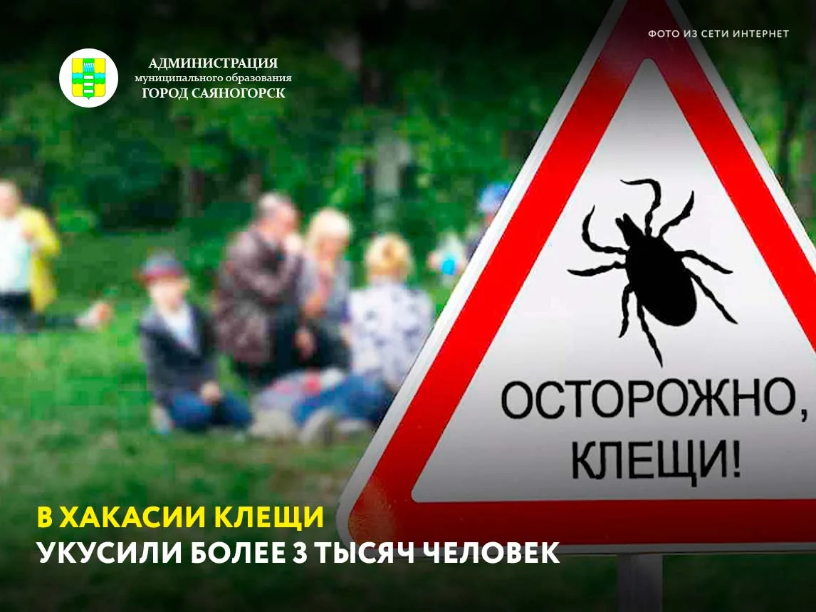 С начала сезона в больницы и поликлиники Хакасии обратились 3129 жителей, пострадавших от укусов кле