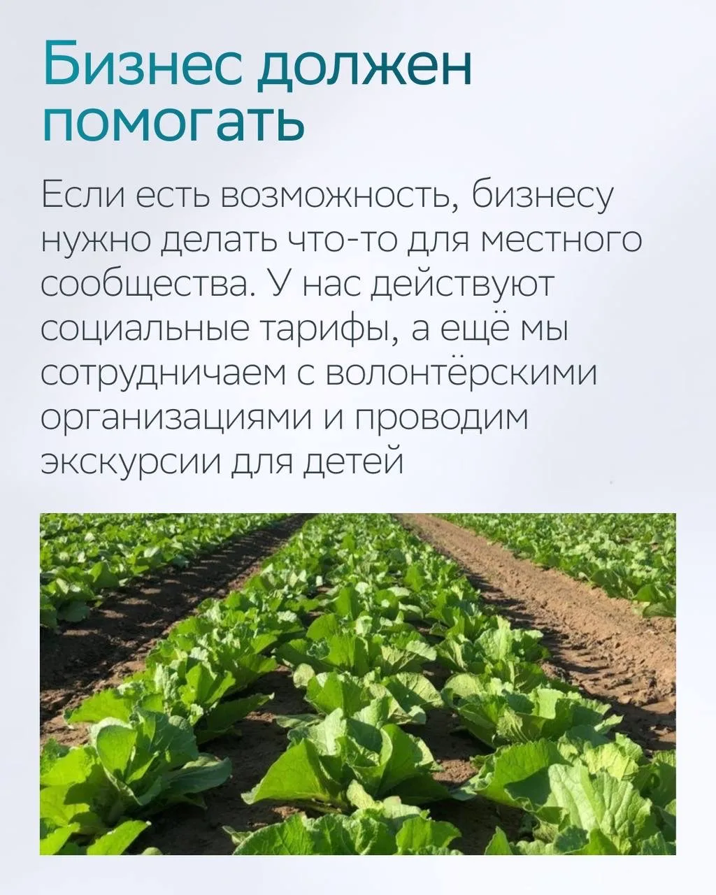 Изображение 8 к публикации «СберБизнес»
