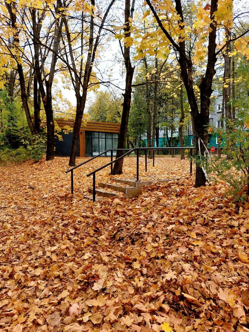 🍁 Золотая осень в Красноармейске
