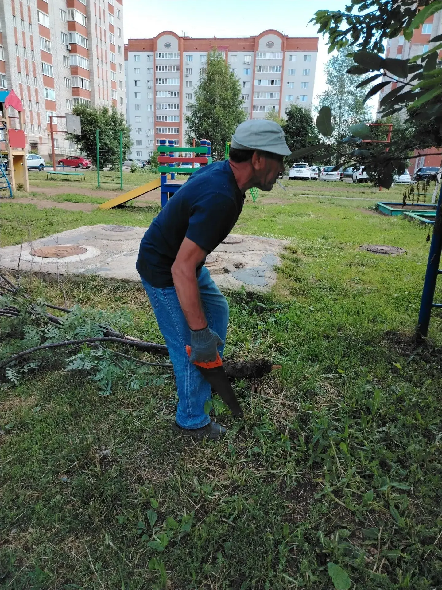 В рамках планового благоустройства территории проводим санитарную обрезку деревьев. Это необходимо д