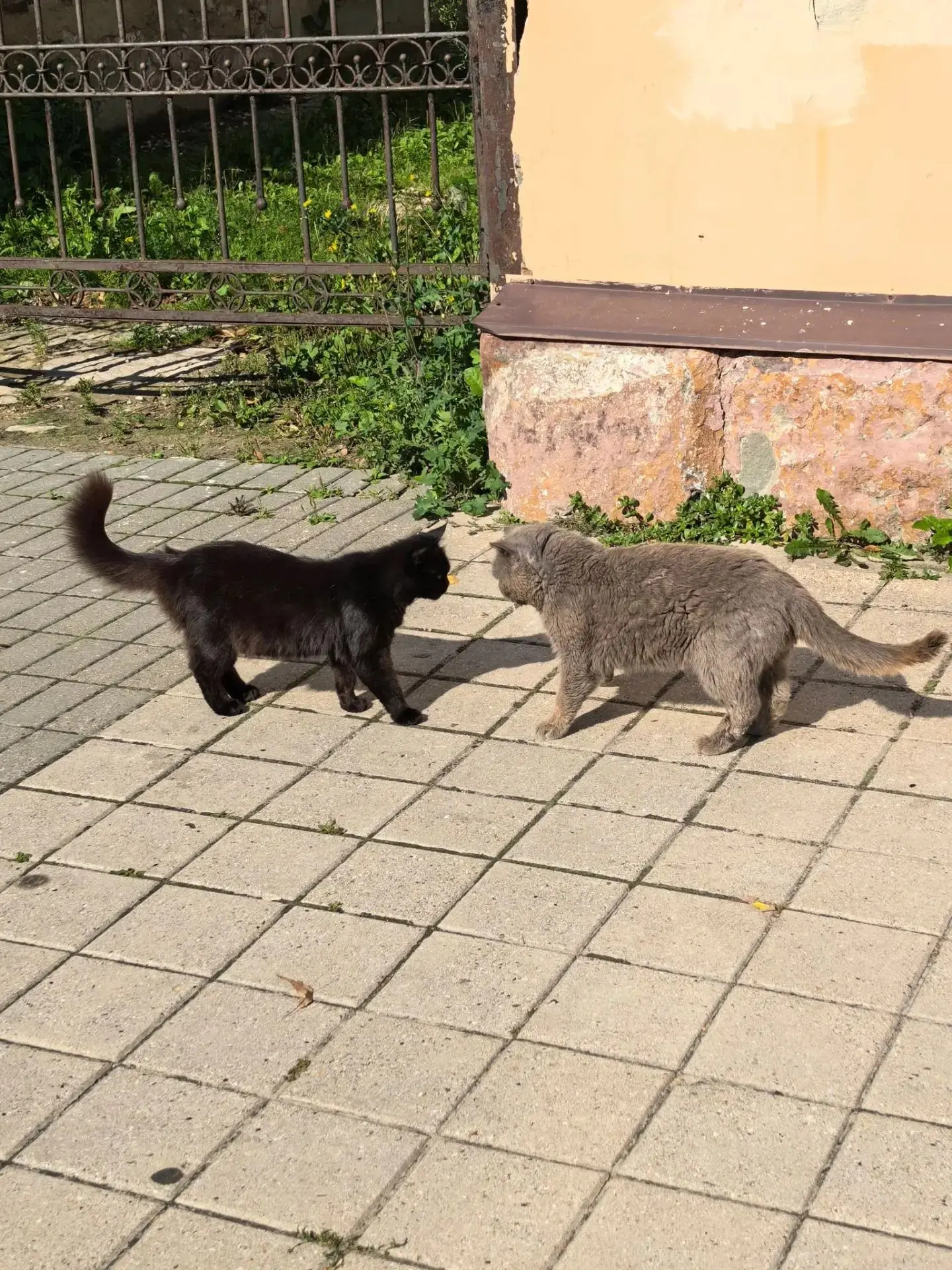 Ну, здравствуй, пятница! Хорошего окончания рабочей недели!