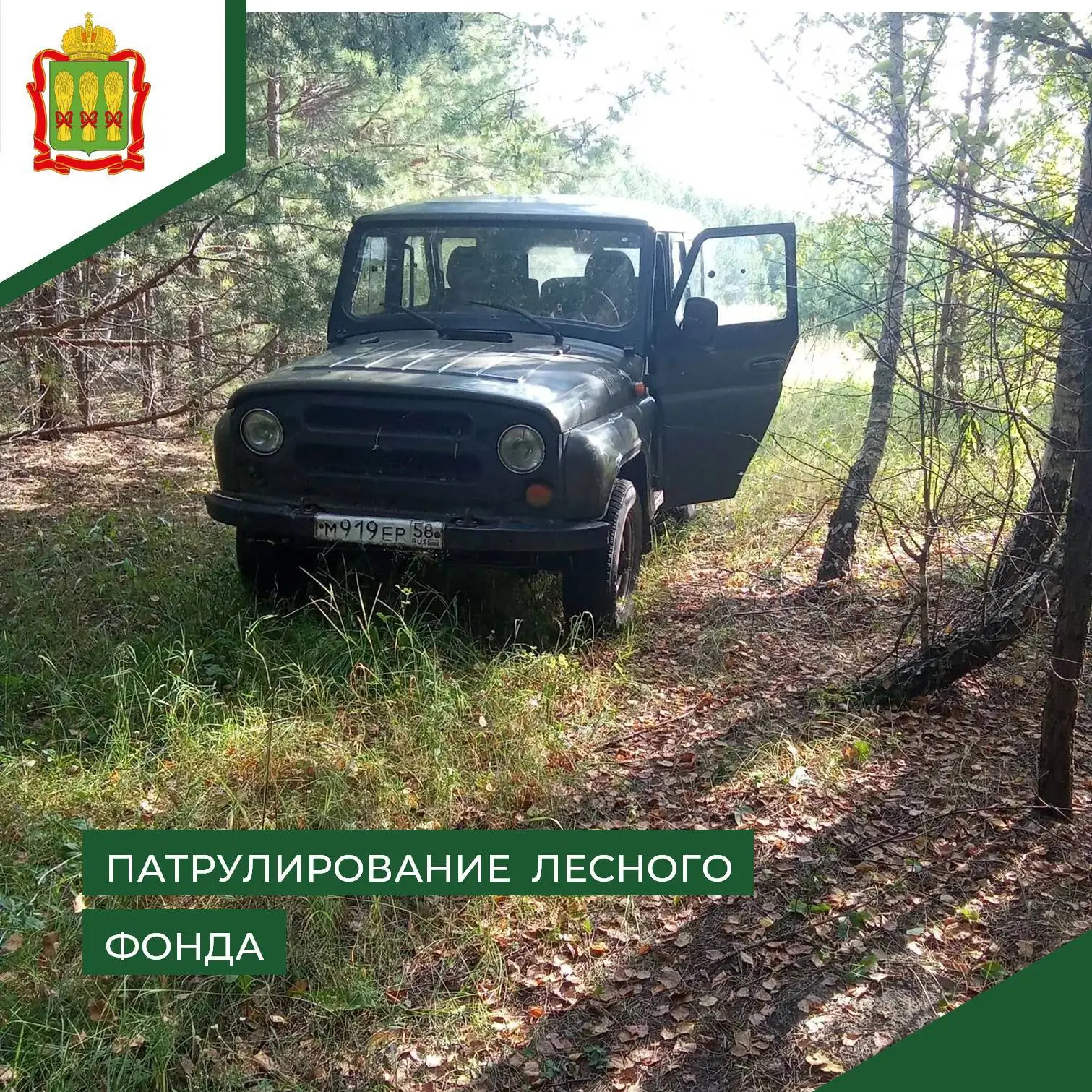 🌲 На территории Шемышейского лесничества проводятся регулярные патрулирования государс...