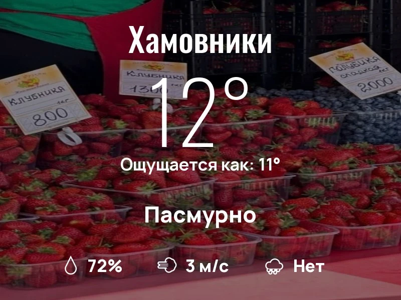 Что с погодой в Хамовниках?