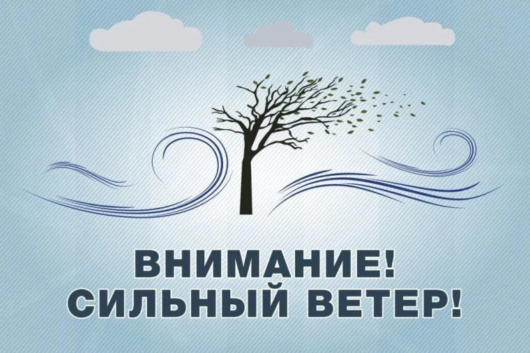 ❗️Основные правила безопасности при сильном ветре   📌При шквальном ветре необходимо следовать следую