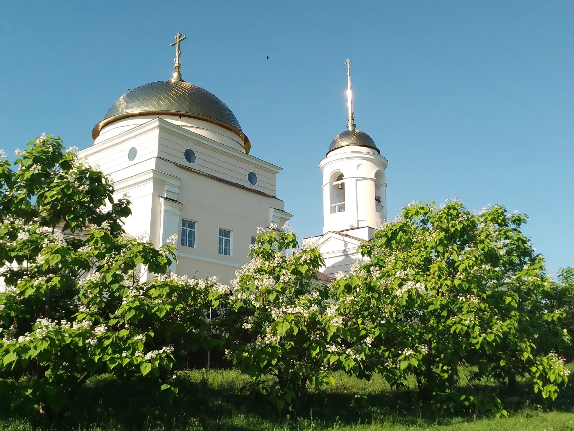 Присылайте Ваши фото в "Предложить пост"