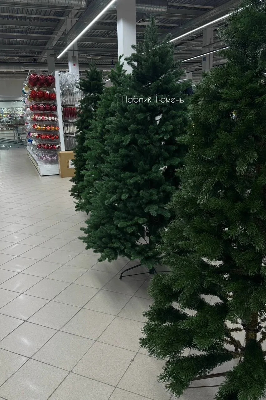 🎄Кто празднику рад, тот ...