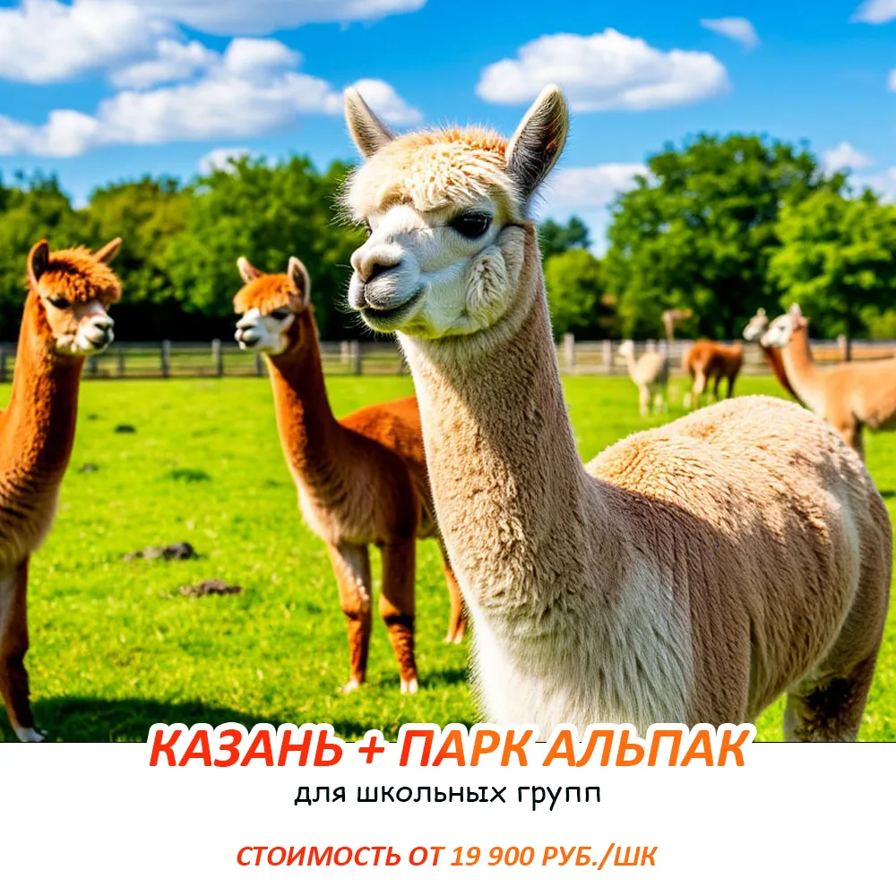 Улетное путешествие в Казань — это не только Кремль и набережная. Это... посещение парка Альпак!

Зн