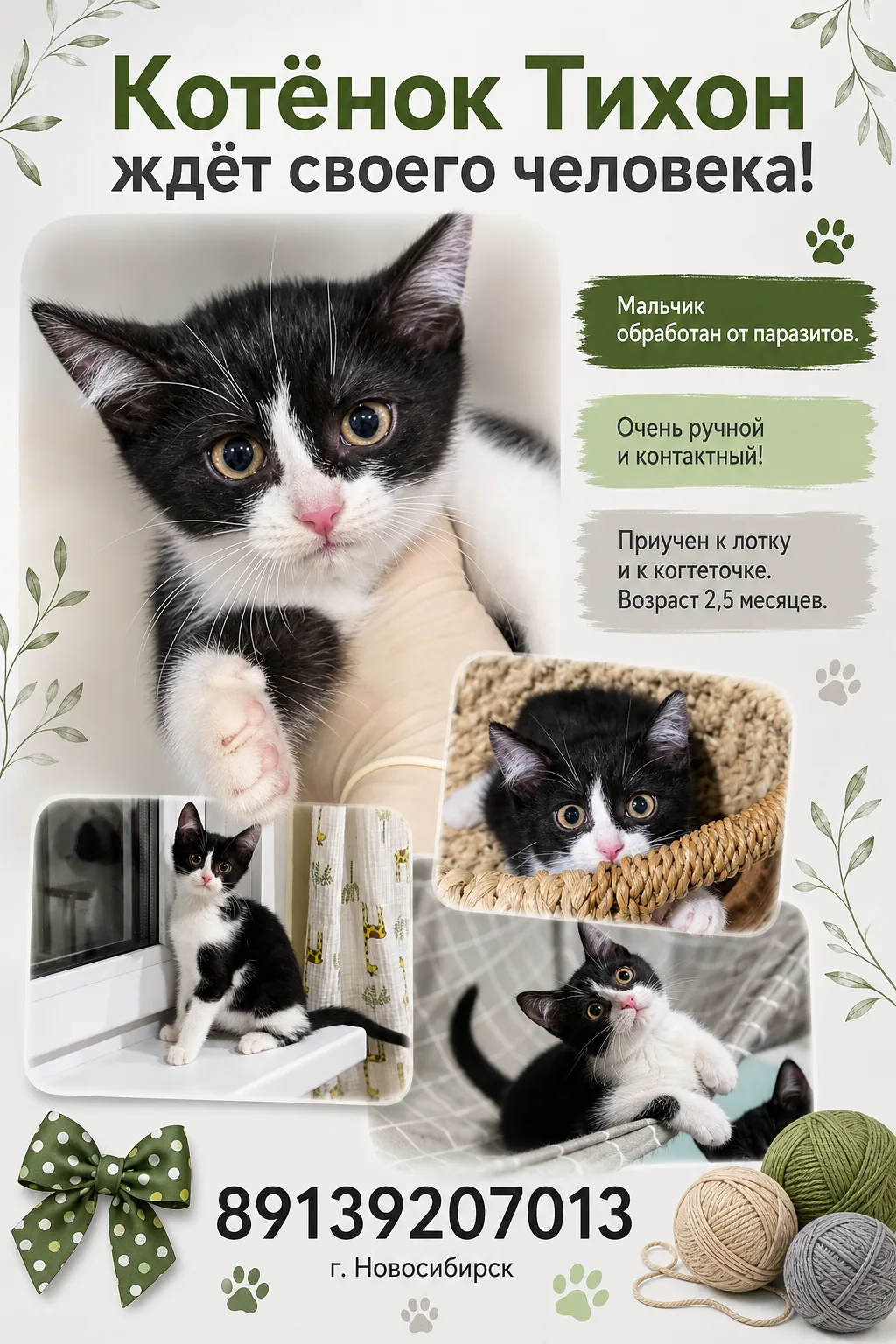 🐾 Тишка — тот самый малыш, ради которого хочется остановиться посреди дня и просто обн...