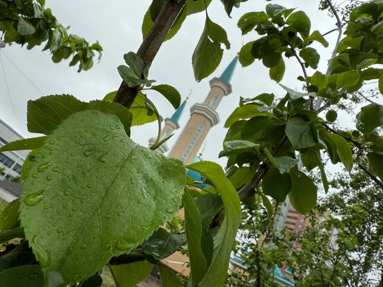 ЯҢГЫР ЯУГАНДА НИНДИ ДОГА КЫЛЫРГА?

🤲 Яңгыр вакытында догалар кабул була, түбәндәге доганы укырга ки