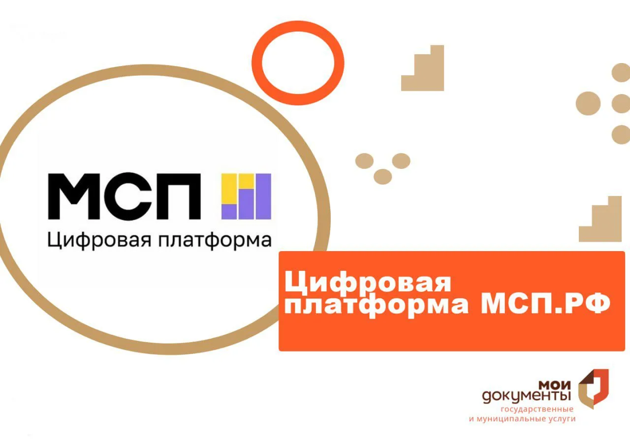 Акция для предпринимателей "Информирование о цифровой платформе МСП" пройдет в офисах МФЦ по Чите  🔸