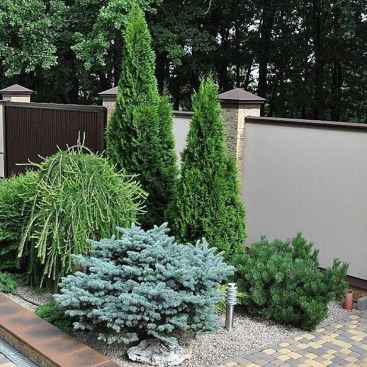 🌲 ХВОЙНАЯ КЛУМБА, КОТОРАЯ КРАСИВА КРУГЛЫЙ ГОД!