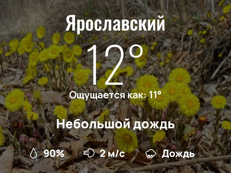 Что с погодой в Ярославском?