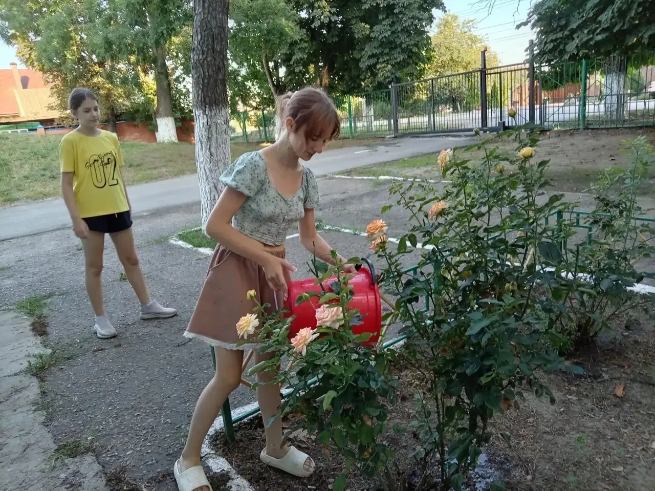 🌿 День экологии: заботимся о природе вместе🌿

🌿На летней пришкольной площадке «Страна Чудес»МБОУ 