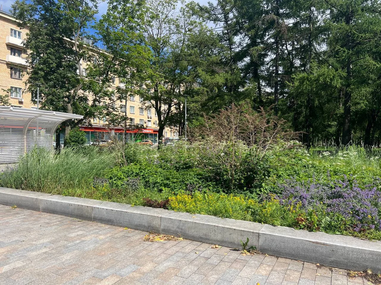 🌿 Вместо цветов — сухостой и сорняки: жители жалуются на запущенную клумбу

Речь о сквере на улице 