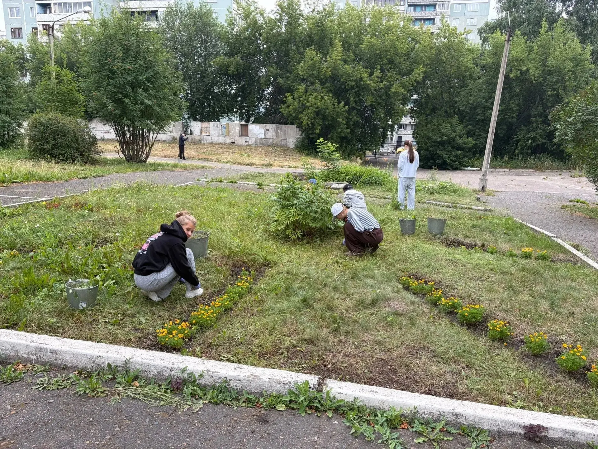 Продолжается работа трудовой бригады