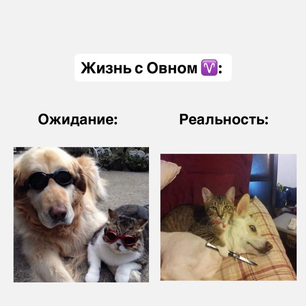 Жизнь со знаками зодиака, часть 1  Если согласны с постом, оставляйте реакцию ❤️  Астрология | Подпи