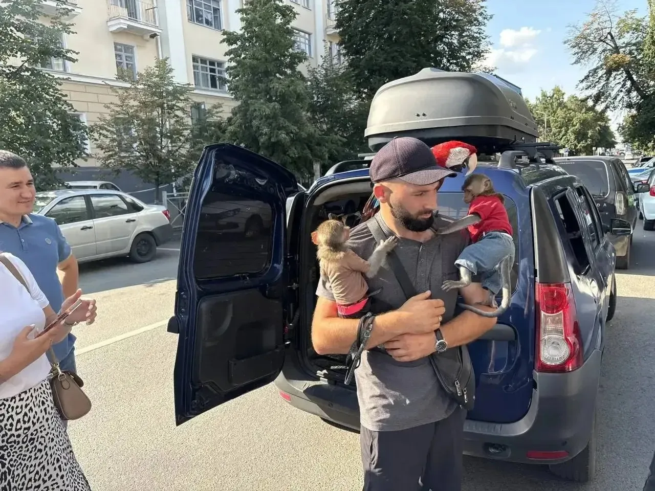 🐒 На Баумана впервые изъяли животных, которых использовали для платных фото

Во время рейда забрали
