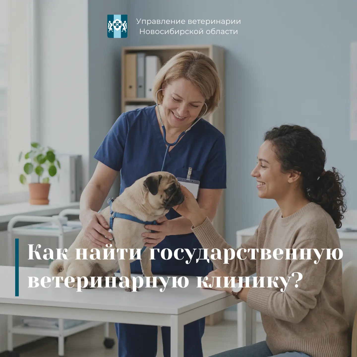 Для удобства владельцев животных на официальном сайте управления ветеринарии Новосибирс...
