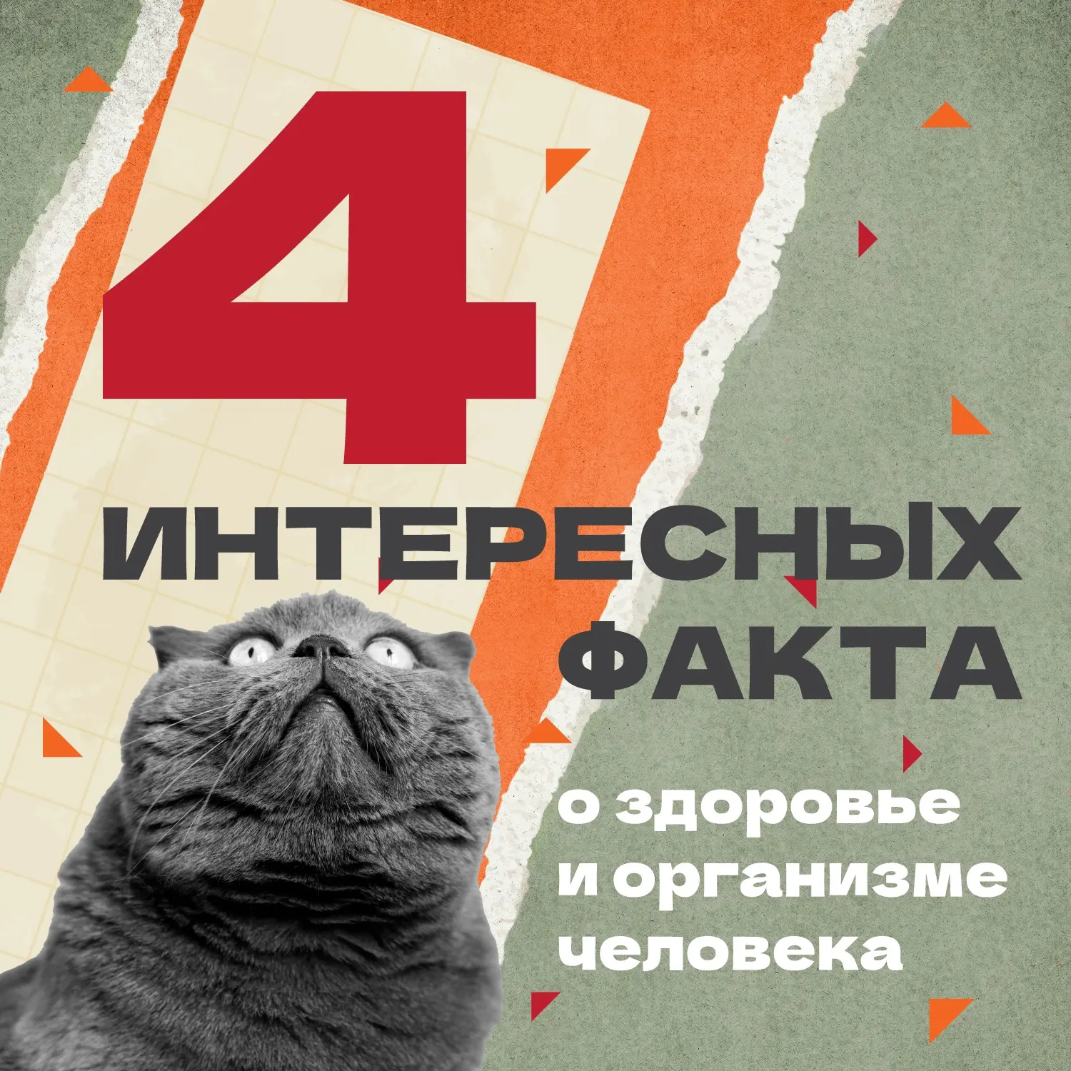 🧬  Наш организм – сложный и запутанный механизм, полный загадок и интересных особеннос...