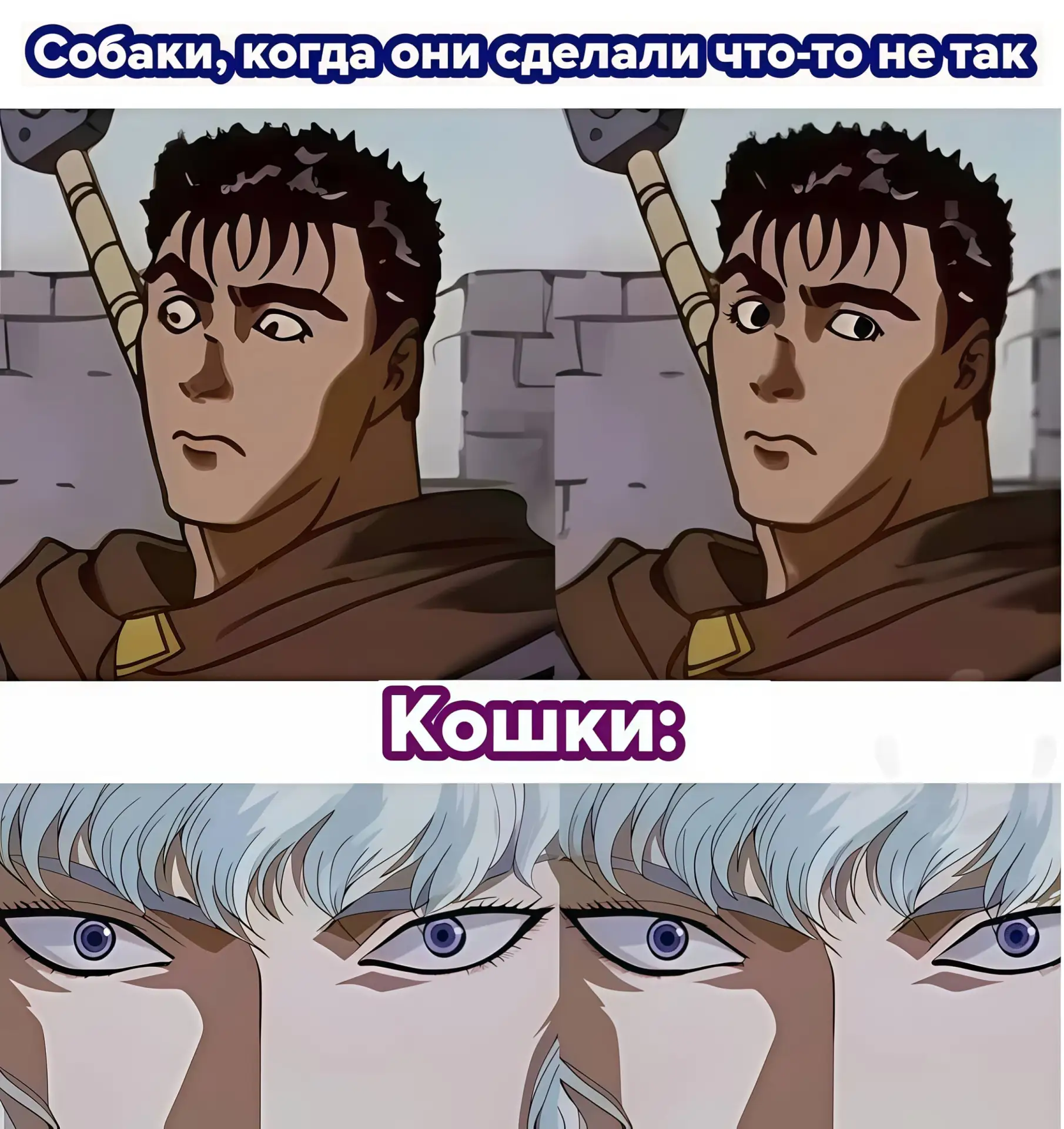🔘 наши проекты