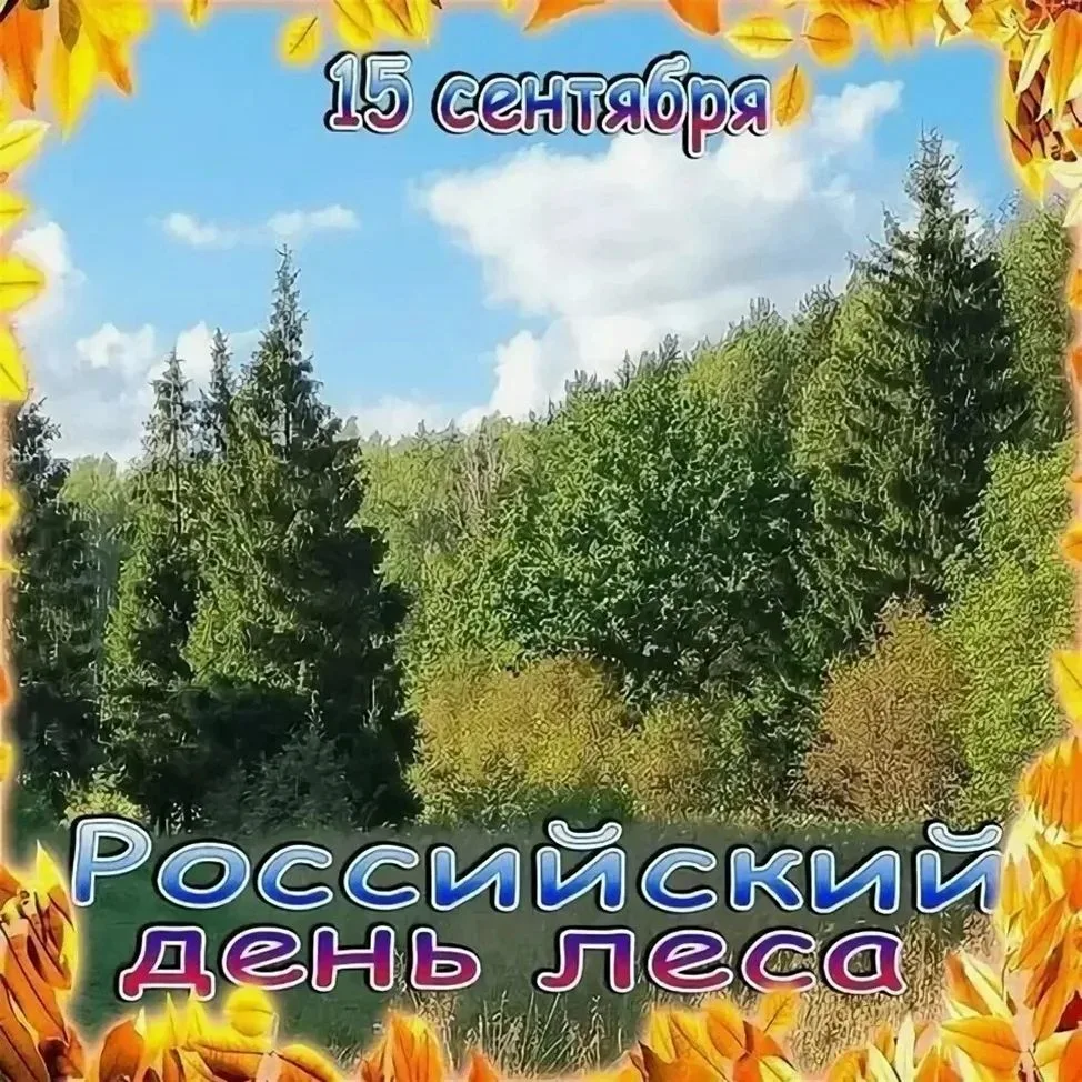 15 сентября отмечаем Российский день леса🌿🌲