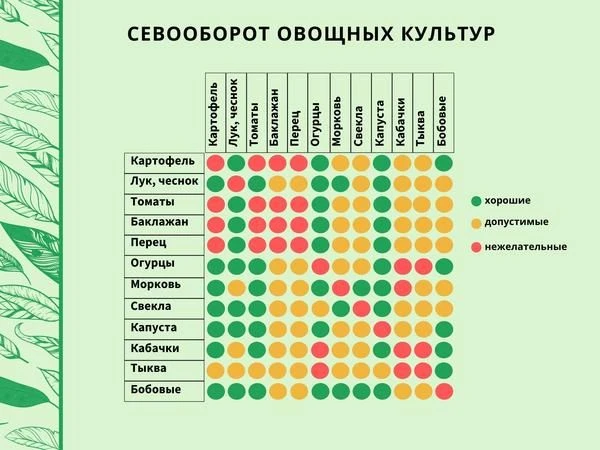 Знакомая ситуация: земля устаёт, урожай падает, а вы снова гадаете, что посадить в следующем году. С