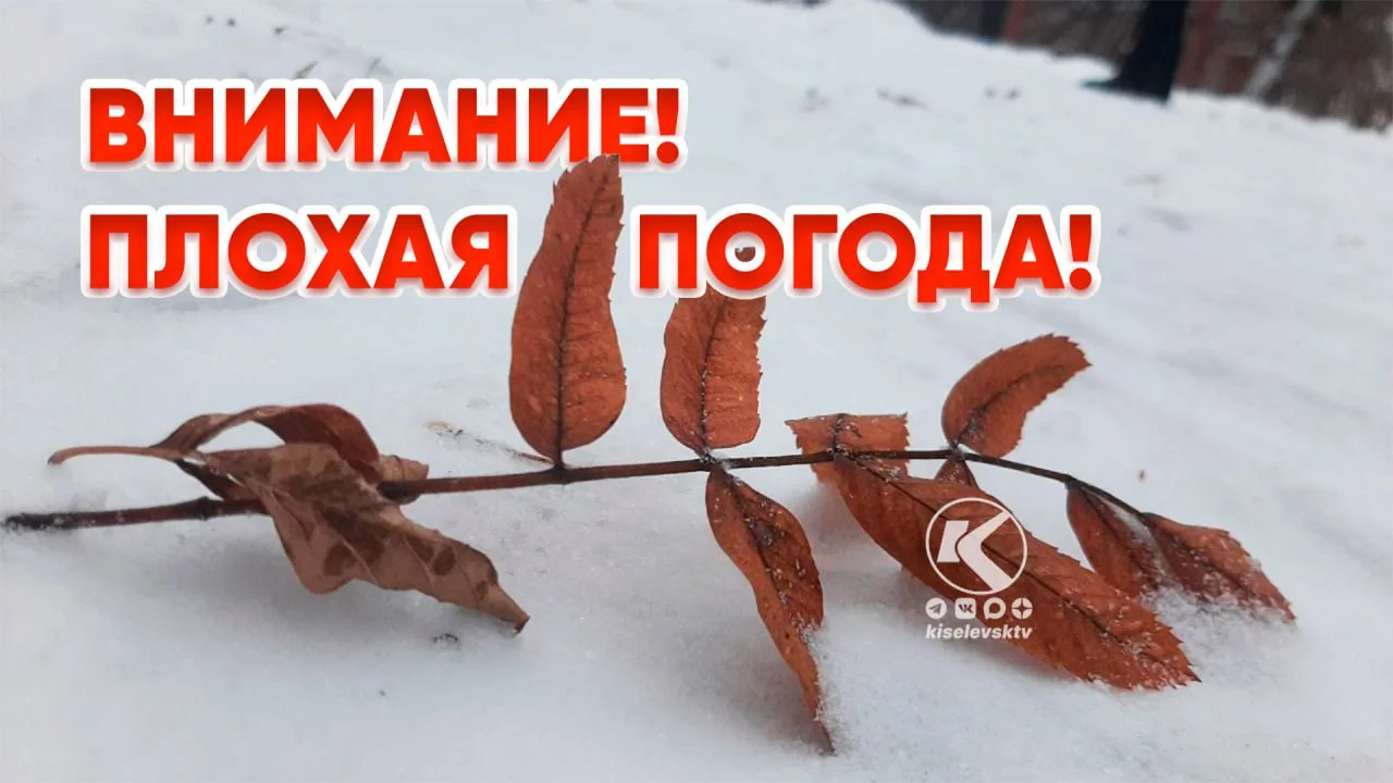 Кузбасские синоптики предупреждают о сильном похолодании в ночные часы: до -3°C. Впроче...