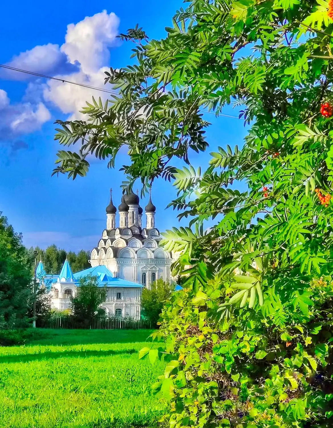 Тайнинка 🌿